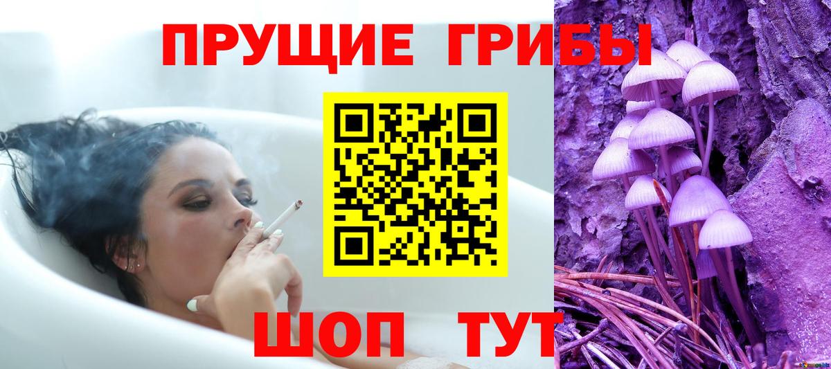 Псилоцибиновые грибы GOLDEN TEACHER  Галлюциногенные грибы Cubensis  Белая Калитва  Вход с VPN 